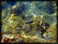 DSC02485 - retouche 2